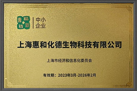 上海市專精特新